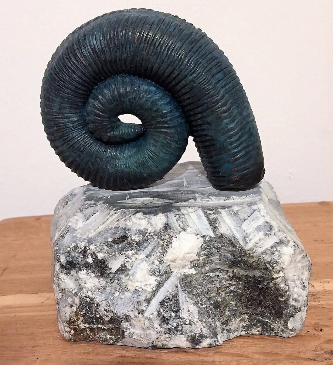 Ammonit Bronze 4