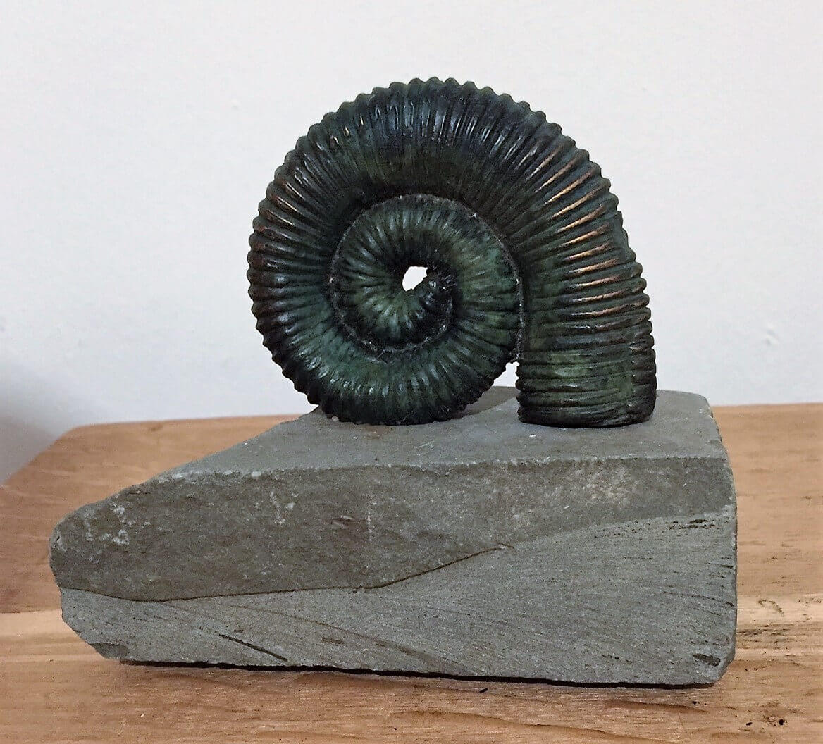 Ammonit Bronze 5