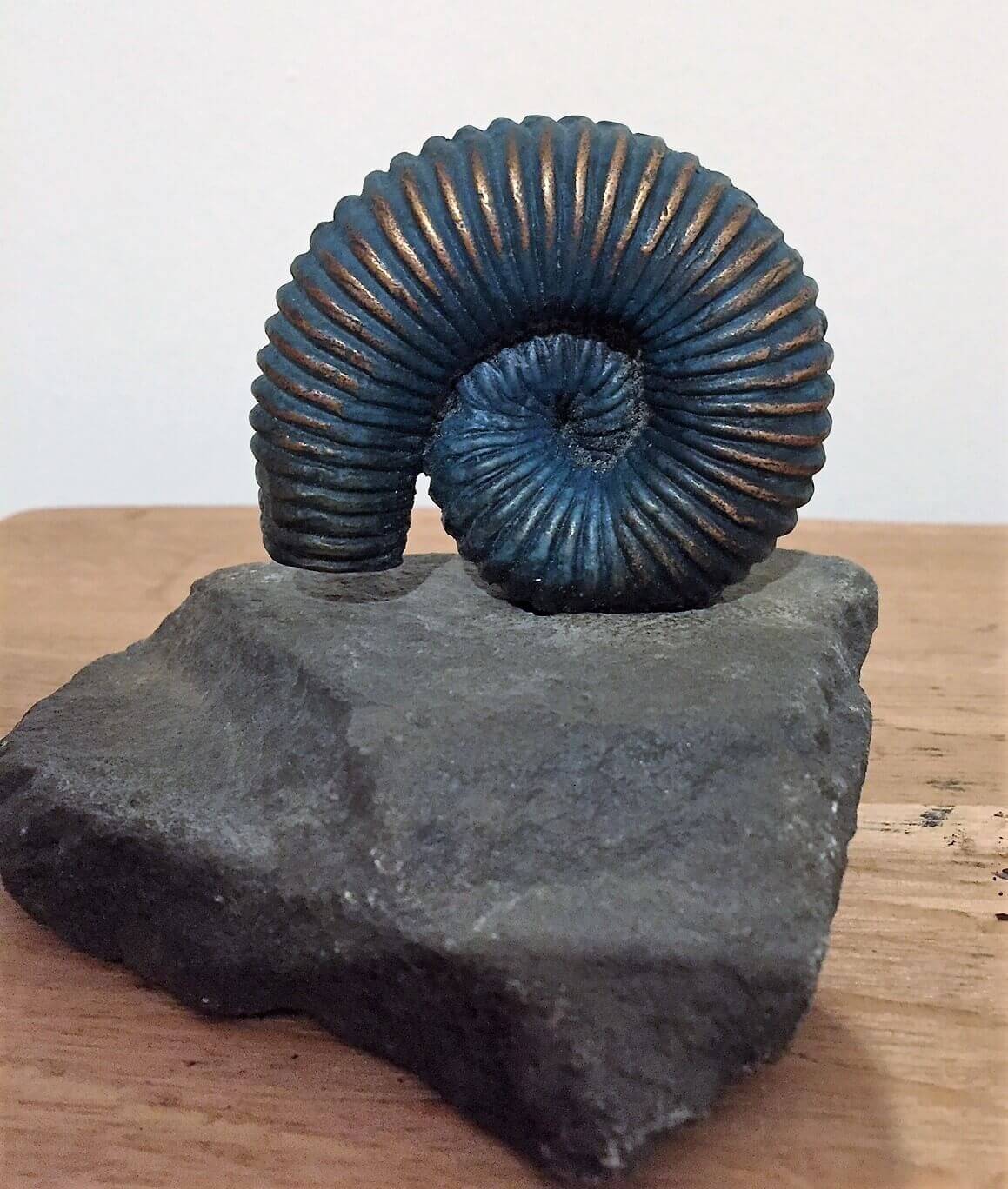 Ammonit Bronze 6
