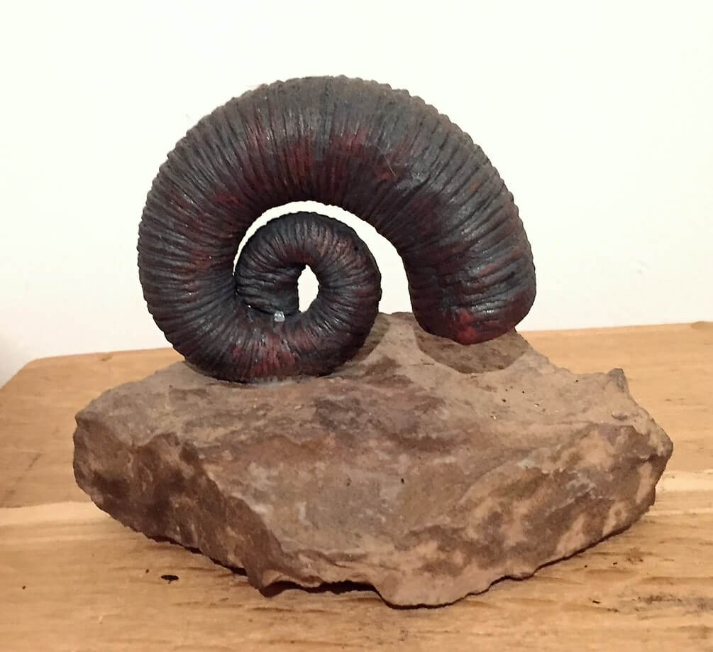 Ammonit Keramik 2